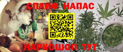 сатива Малгобек