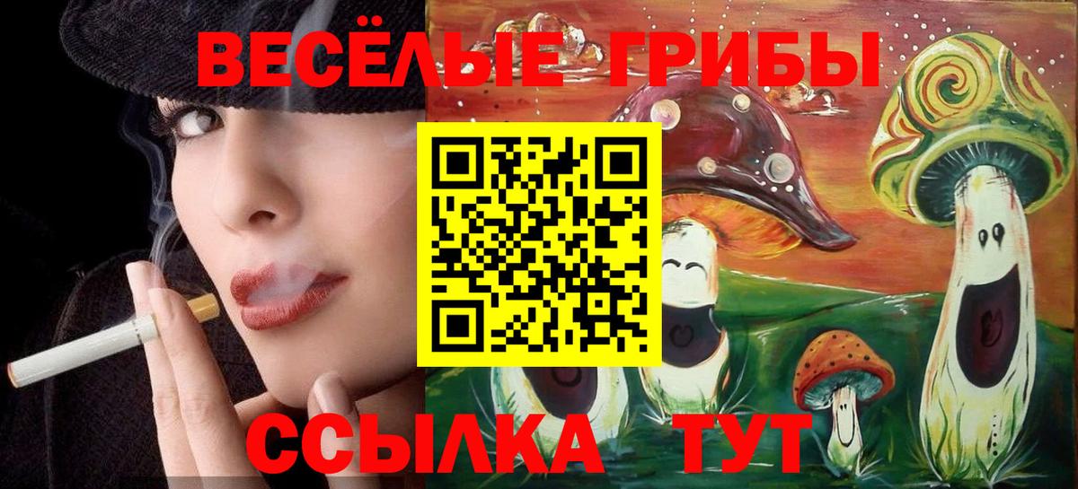 Псилоцибиновые грибы мицелий Заволжье