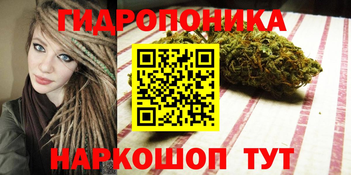 Бошки Шишки SATIVA & INDICA  Вход с VPN  Шишки марихуана планчик  Конопля Bruce Banner  Марихуана ГИДРОПОН  Заволжье 